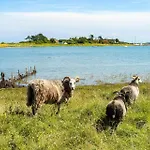 Dom wakacyjny 20128-samso-maarup-osterstrand-60 *